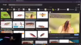 Kakerlaken-Alarm und Stream-S…