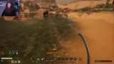 Icarus