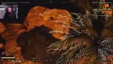 Icarus