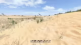 DayZ