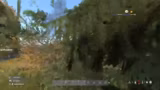 DayZ