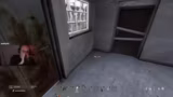 DayZ