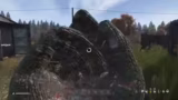 DayZ
