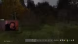 DayZ
