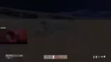 DayZ
