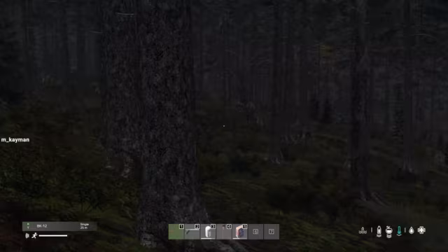 DayZ-Patch führt zu Performance-Einbußen