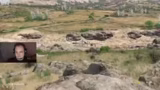 DayZ