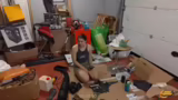 Stream-Ende, Katzenfütterung…