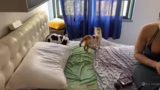 Start des Kitten-Streams und…