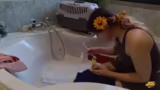 Flohbehandlung der Kitten