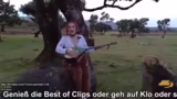 Reinigung des Kittenbereichs…