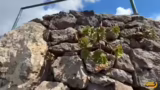 Vegetation, Wetterkapriolen u…