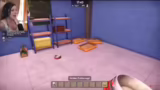 Animal Shelter 2