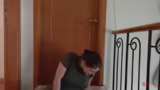 Flohbekämpfung Live und Katze…