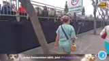 Die Blumenparade beginnt: Sta…