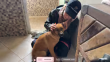 Katzenrettung auf Sizilien !spenden
