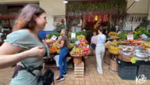 Madeira FRISCHMARKT shoppen für KOCH-SK…