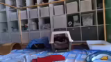 Versorgung der Kitten und Spe…
