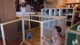 Boxkampf-Idee und Reparaturar…