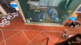 Katzenvermittlung und Futter