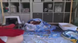 Kitten zähmen, bevor ich gekillt werde!…