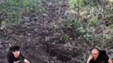 Schwarzthorn-Hecke und Wildti…