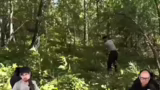 Reaktion auf Wildhammer-Video…