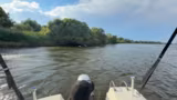 Drei Influencer unterwegs: Chaos auf der Elbe mit Boot und Humor