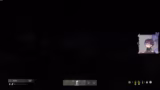 DayZ