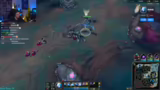 Anivia-Auswahl und kulinarisc…