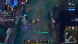 Skin-Diskussionen, Champion-A…