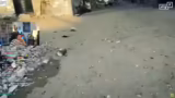 Humanitäre Hilfe im Gazastrei…
