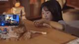 Just Chatting