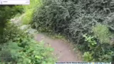 Erkundungstour durch den Köni…