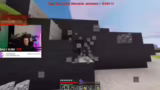 Minecraft und Publikumsintera…