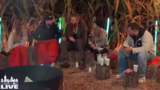Werwolf-Spiel: Abstimmung und…