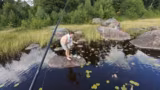 Das erste mal Angeln in Schweden [ruhig…