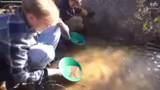 Schwierigkeiten beim Goldwasc…