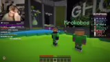 Neues Spiel: Enderdrachenjagd…