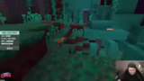 Strategien zur Enderman-Jagd…