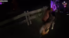 HORRORRR MIT VR ! 35h Stream song