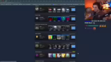 Steam Level und Skins