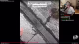 Diskussionen über satisfying…