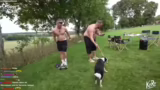 Sport, Hunde und Handtücher