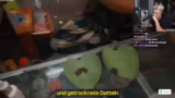 Charity-Aktion und Streetfood…