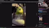 Stream-Start und erste Intera…