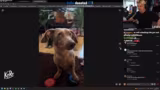 TikTok-Shop Produkte und der Wal an der Küste