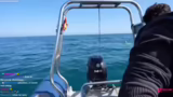 Wakeboard-Technik und Netzwer…