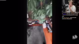 Von Xbox-Paradiesen zu bayeri…