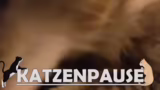 Planetenverteidigungskanonenk…